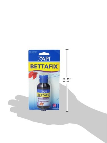 API Bettafix Freshwater Fish Bacterial Infection Treatment 1.7oz