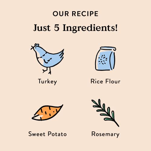 Bocce’s Bakery Grazers Turkey & Sweet Potato, 4 oz