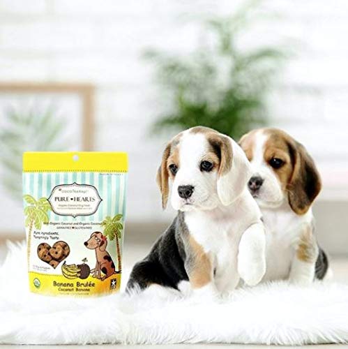 CocoTherapy Pure Hearts Coconut Cookies – Banana Brulee 5 oz.