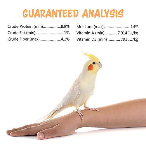 Vitakraft Cockatiel Treat Sticks Apple & Honey - 3.5oz