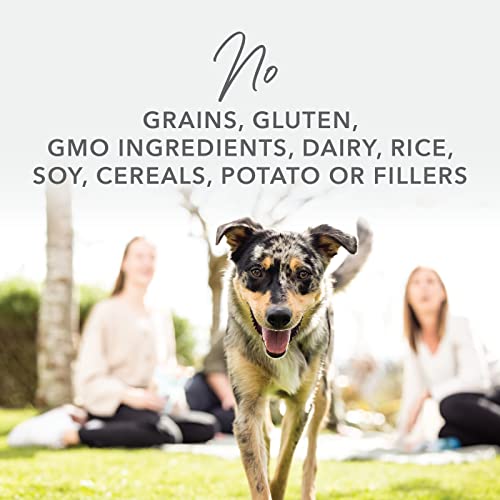 K9 Natural Lamb Feast Freeze-Dried Dog Food 500 g