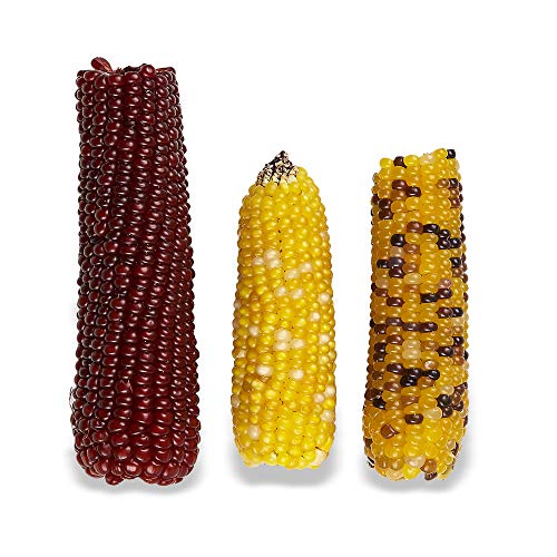 Vitakraft Mini-Pop Corn Cob Bird Treat
