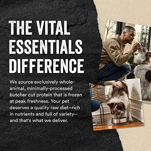 Vital Essentials Freeze-Dried Raw Dog Treats, Minnows Treats 2.5 oz