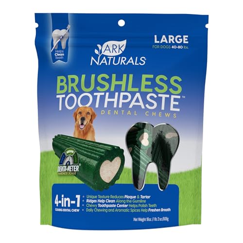 Ark Naturals Brushless Toothpaste Large 18oz