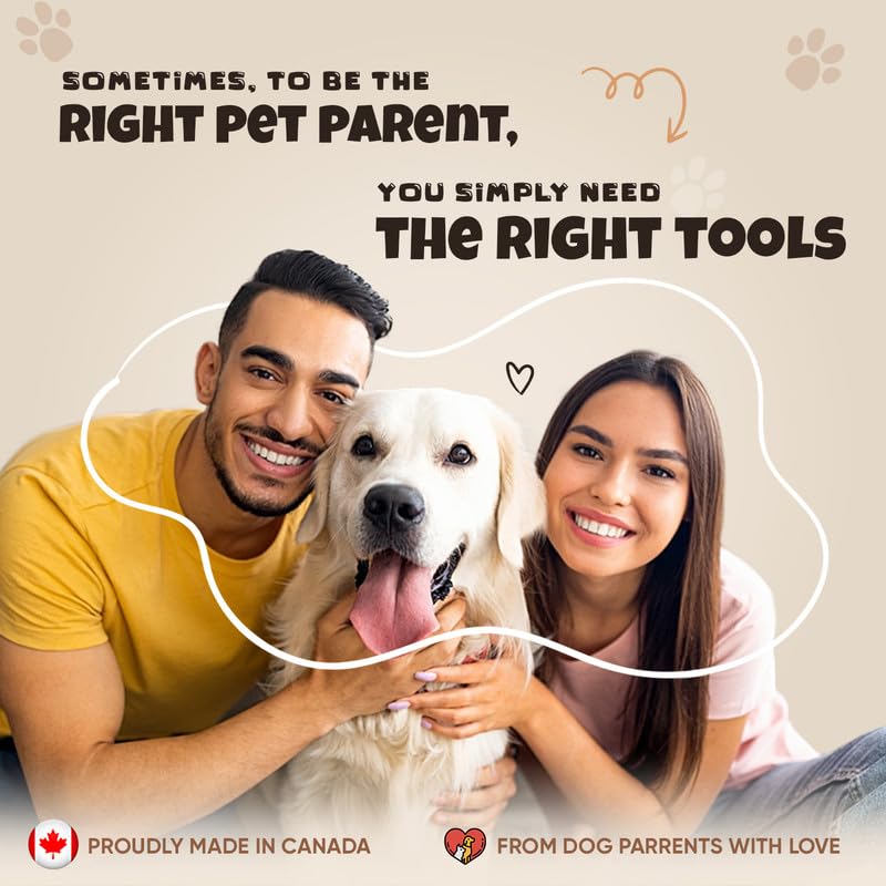 Jawz for Pawz Dog Boots, Large