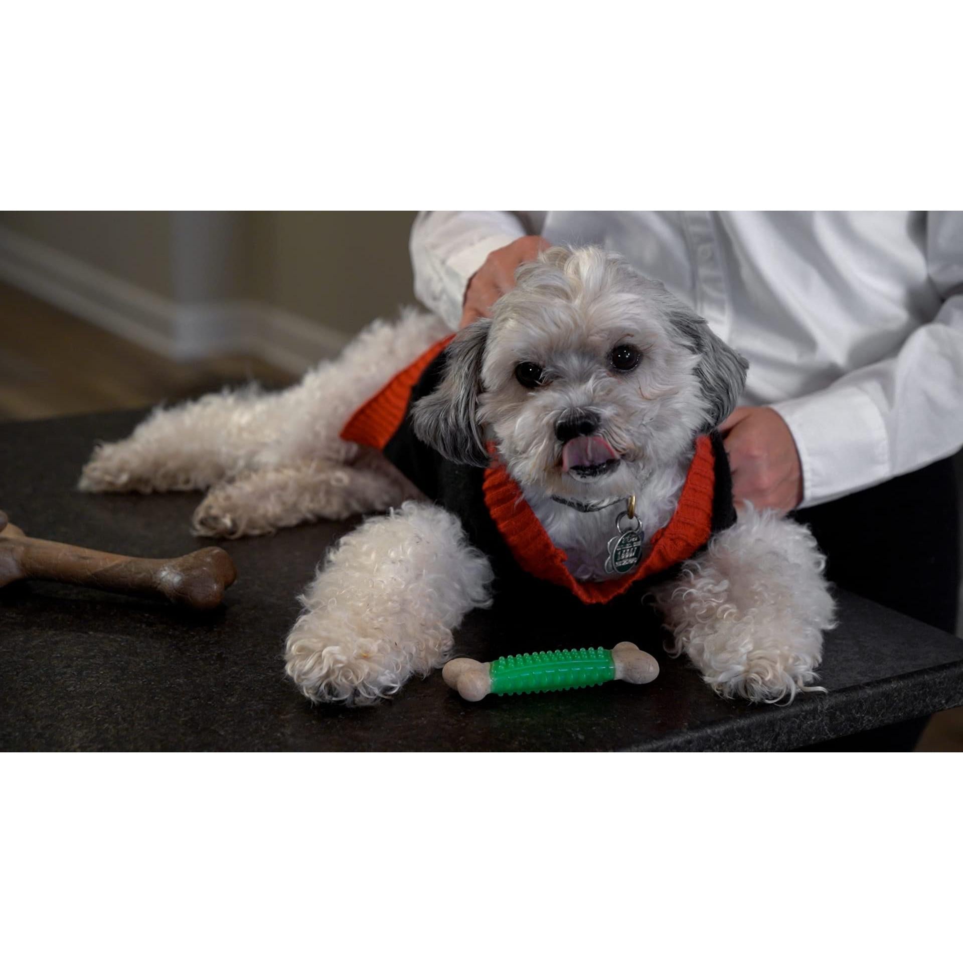 Hero Bonetics Femur & Dental Bones - Dog and Puppy Bones (Pack of 3)