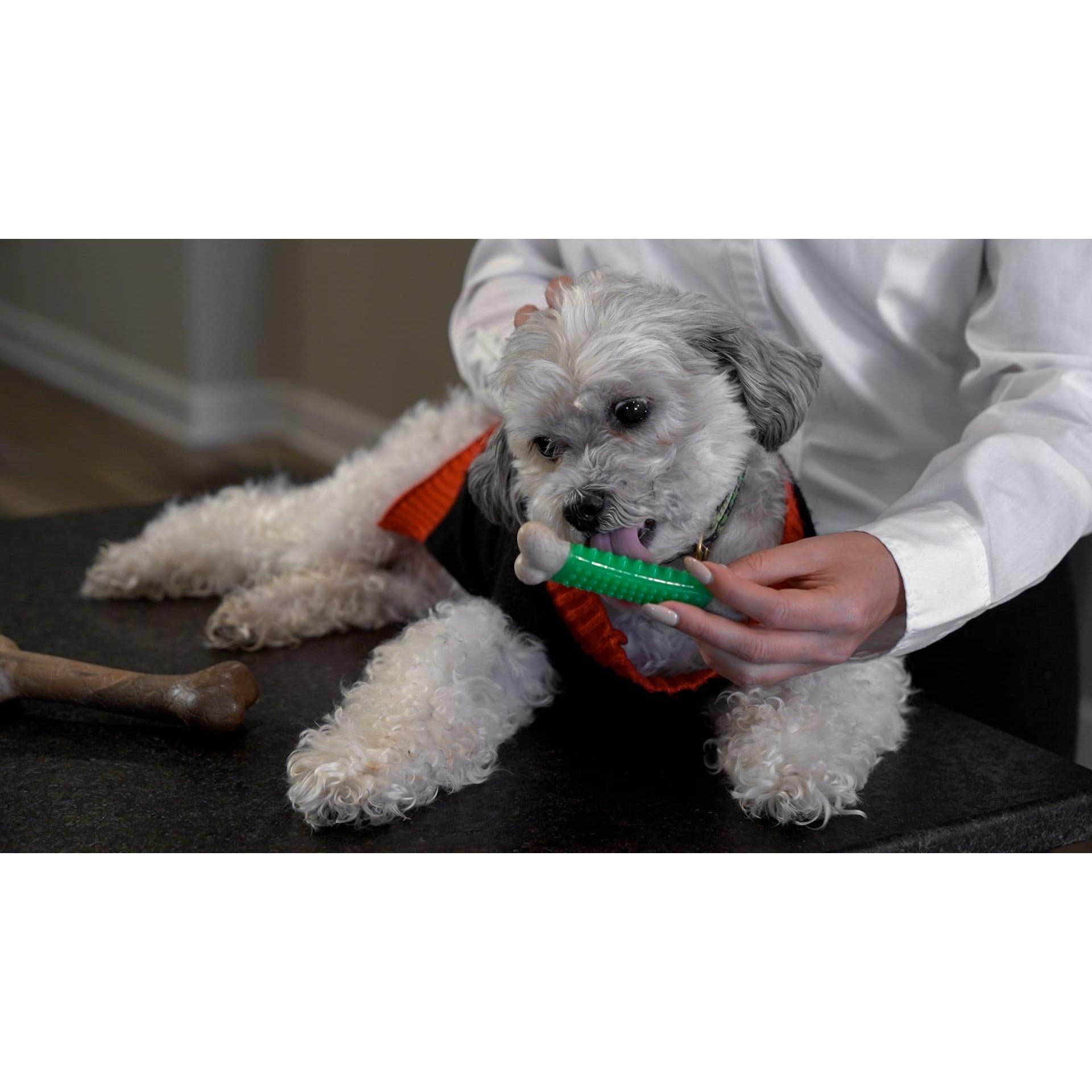 Hero Bonetics Femur & Dental Bones - Dog and Puppy Bones (Pack of 3)