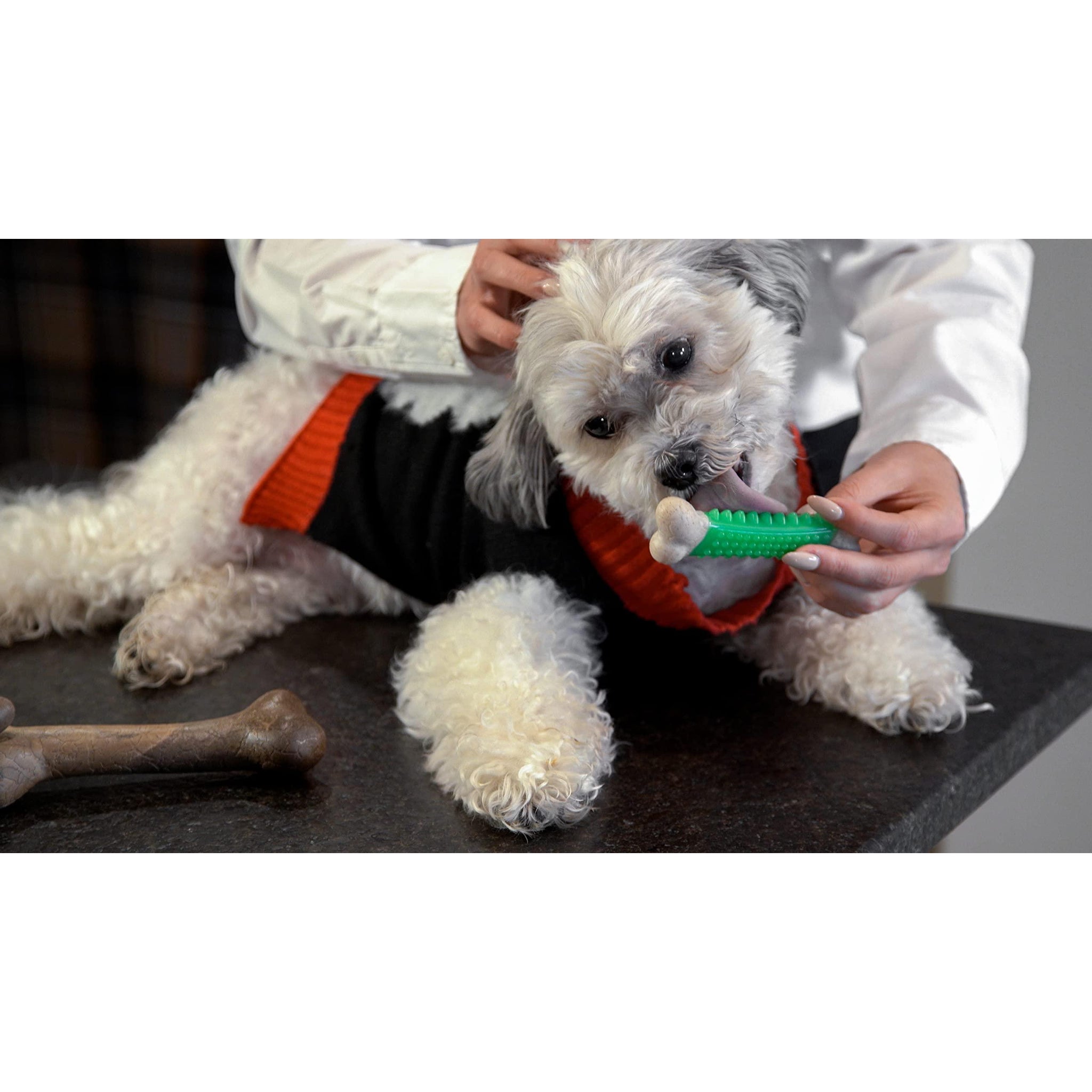 Hero Bonetics Femur & Dental Bones - Dog and Puppy Bones (Pack of 3)