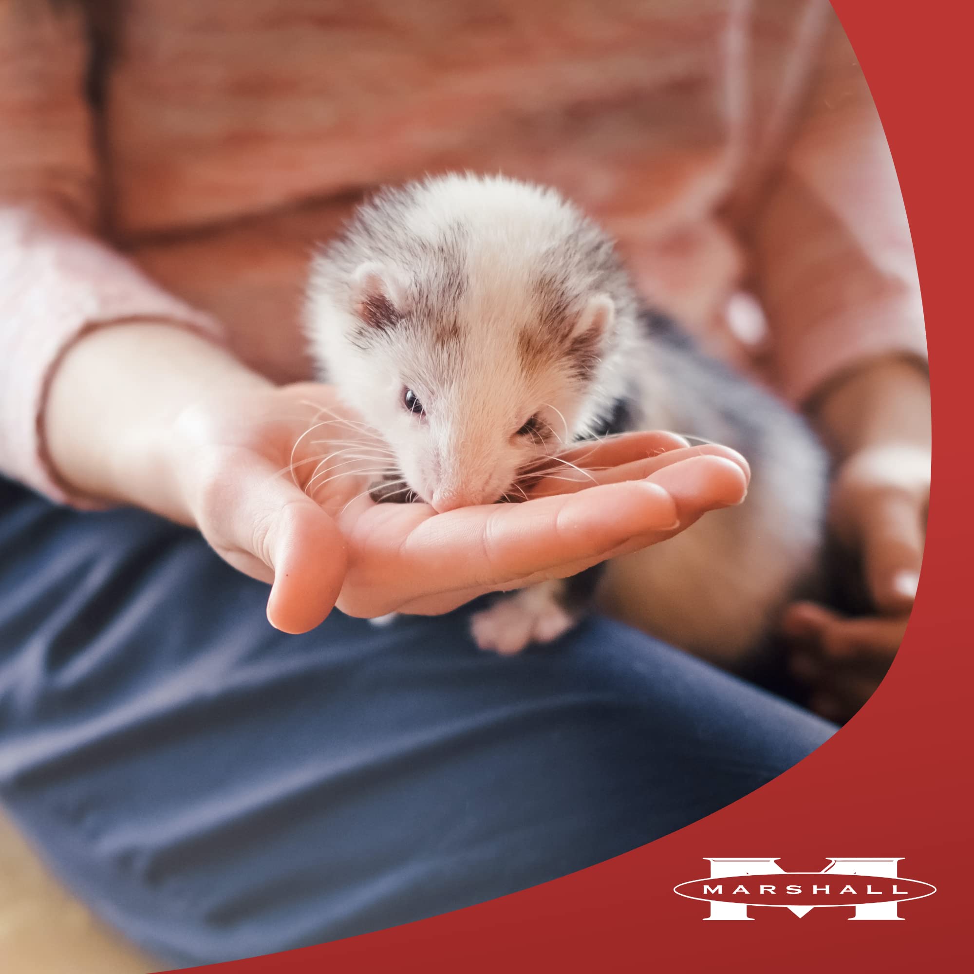 Marshall Premium Ferret Diet 22oz