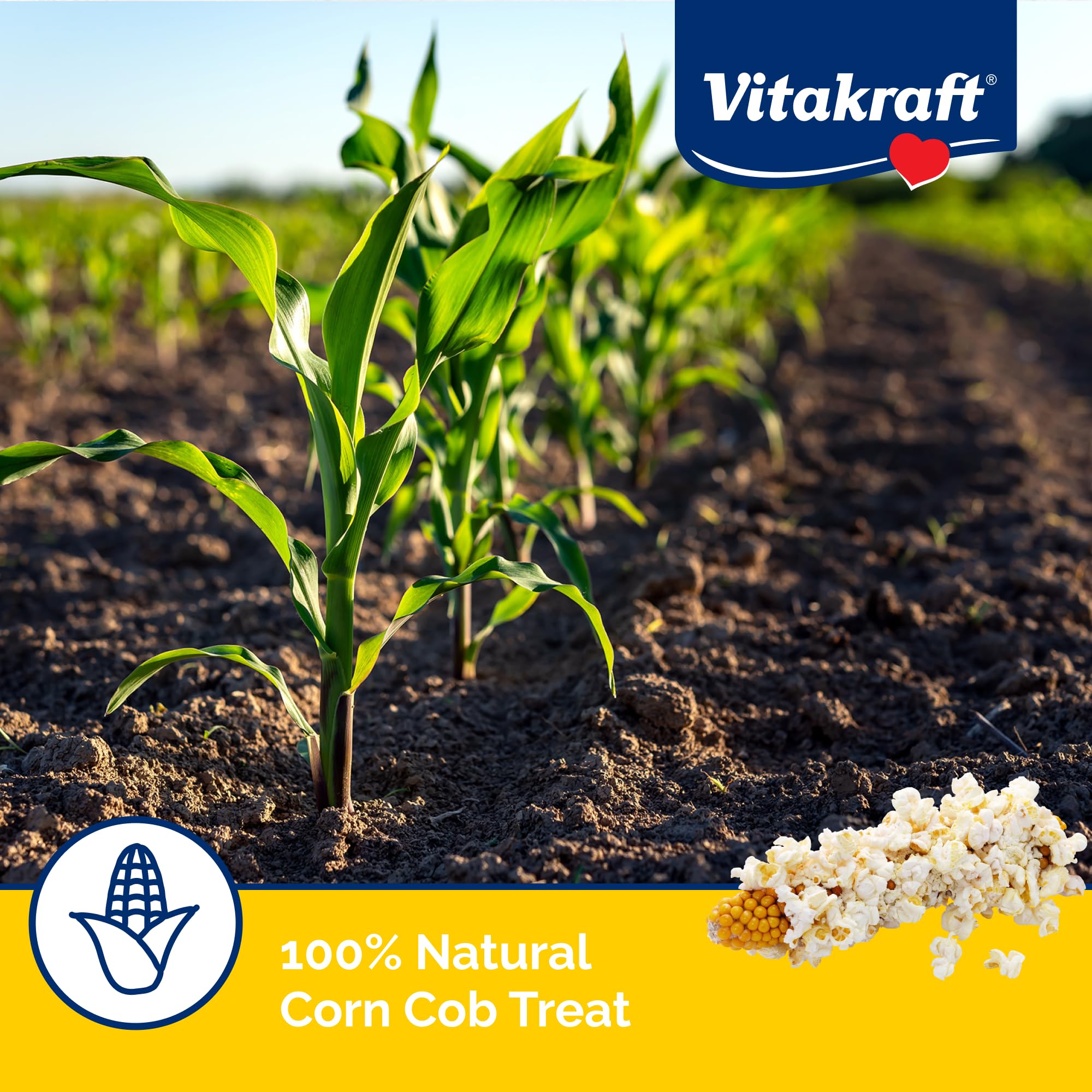 Vitakraft Mini-Pop Corn Cob Bird Treat