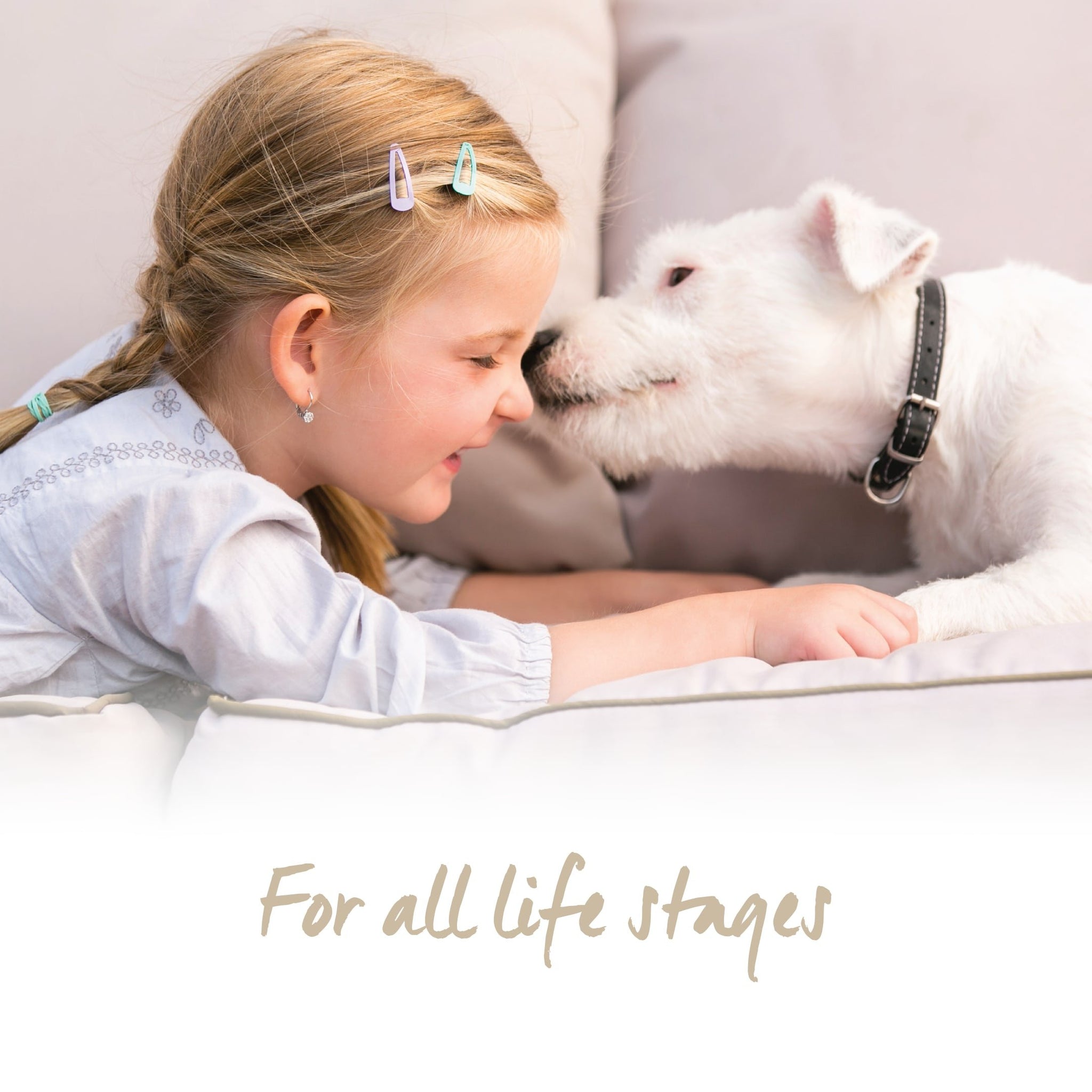 K9 Natural Freeze Dried Dog Food Or Topper Beef 17.6oz