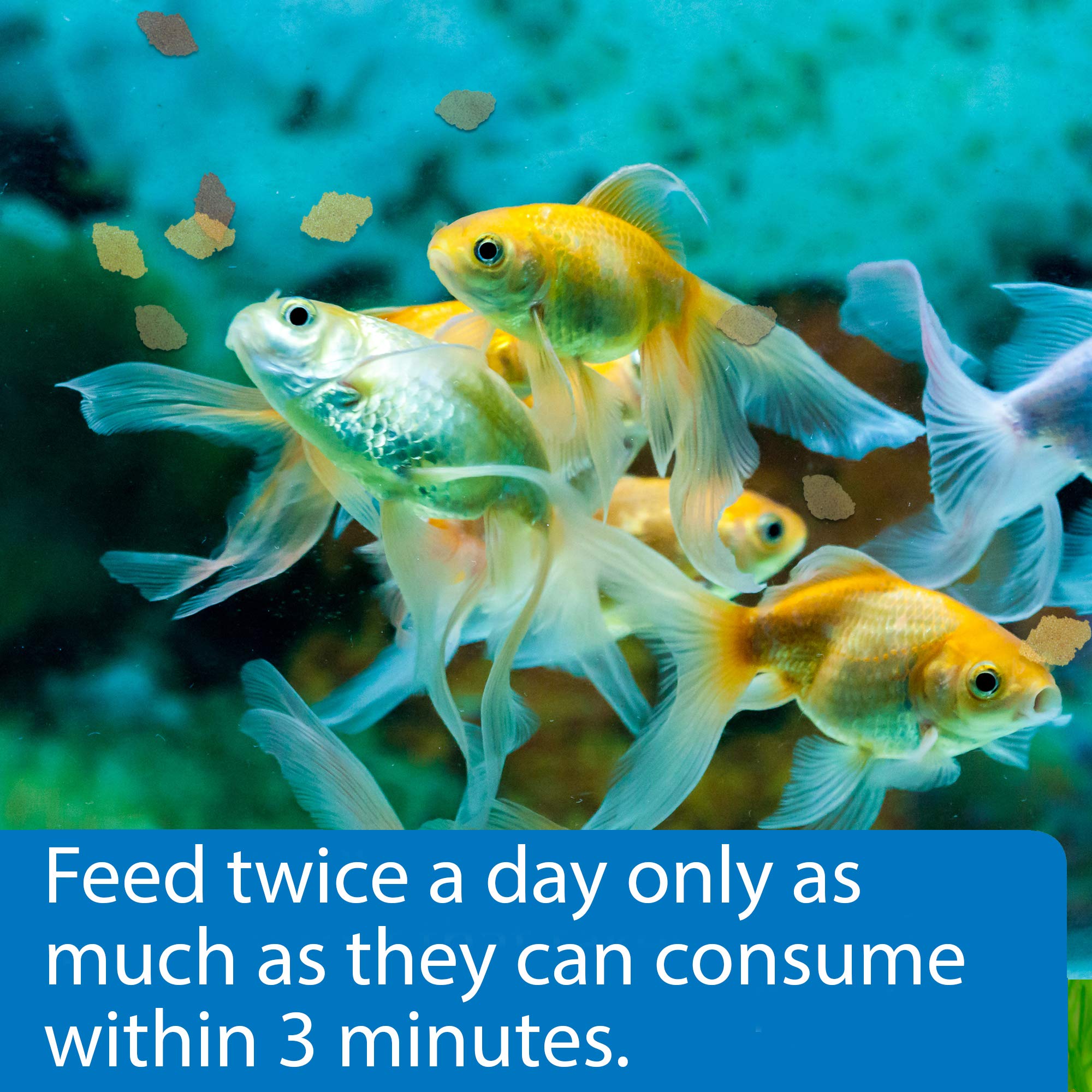 API Goldfish Pellets Fish Food .36oz