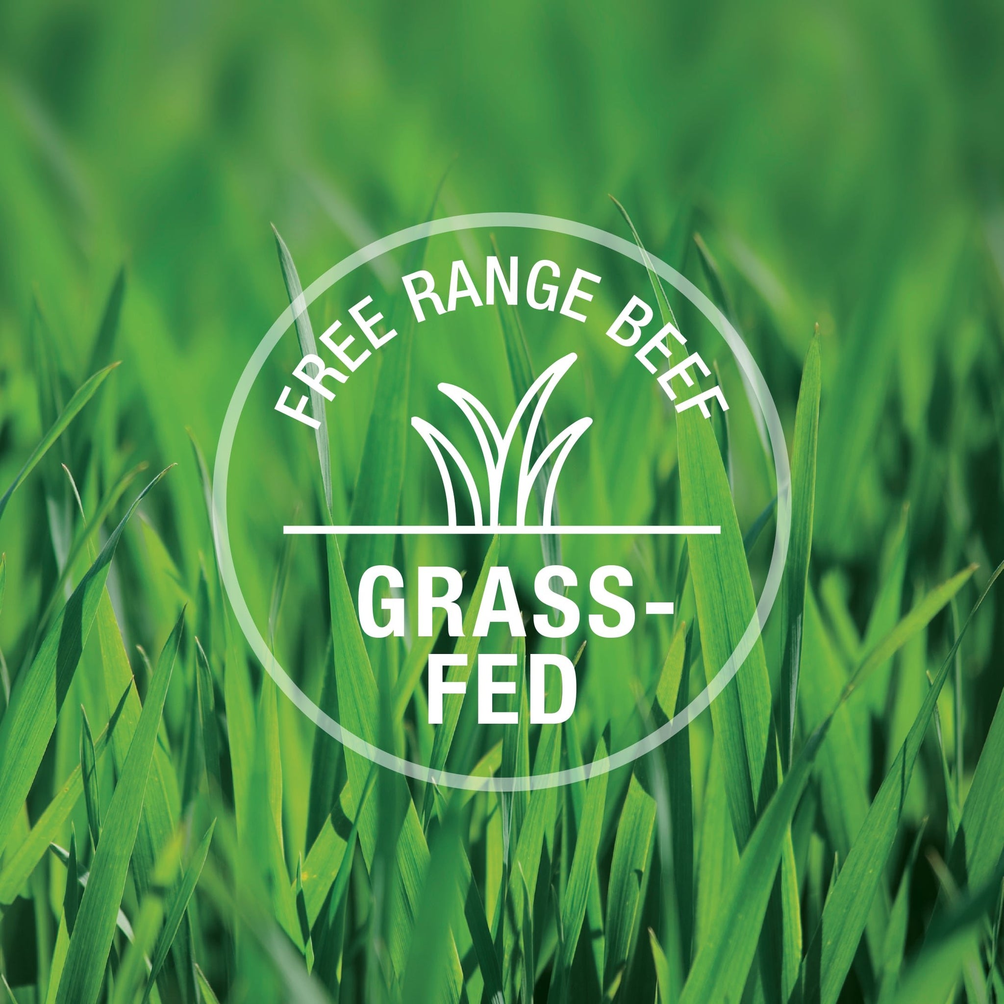 K9 Natural Freeze Dried Dog Food Or Topper Beef 17.6oz