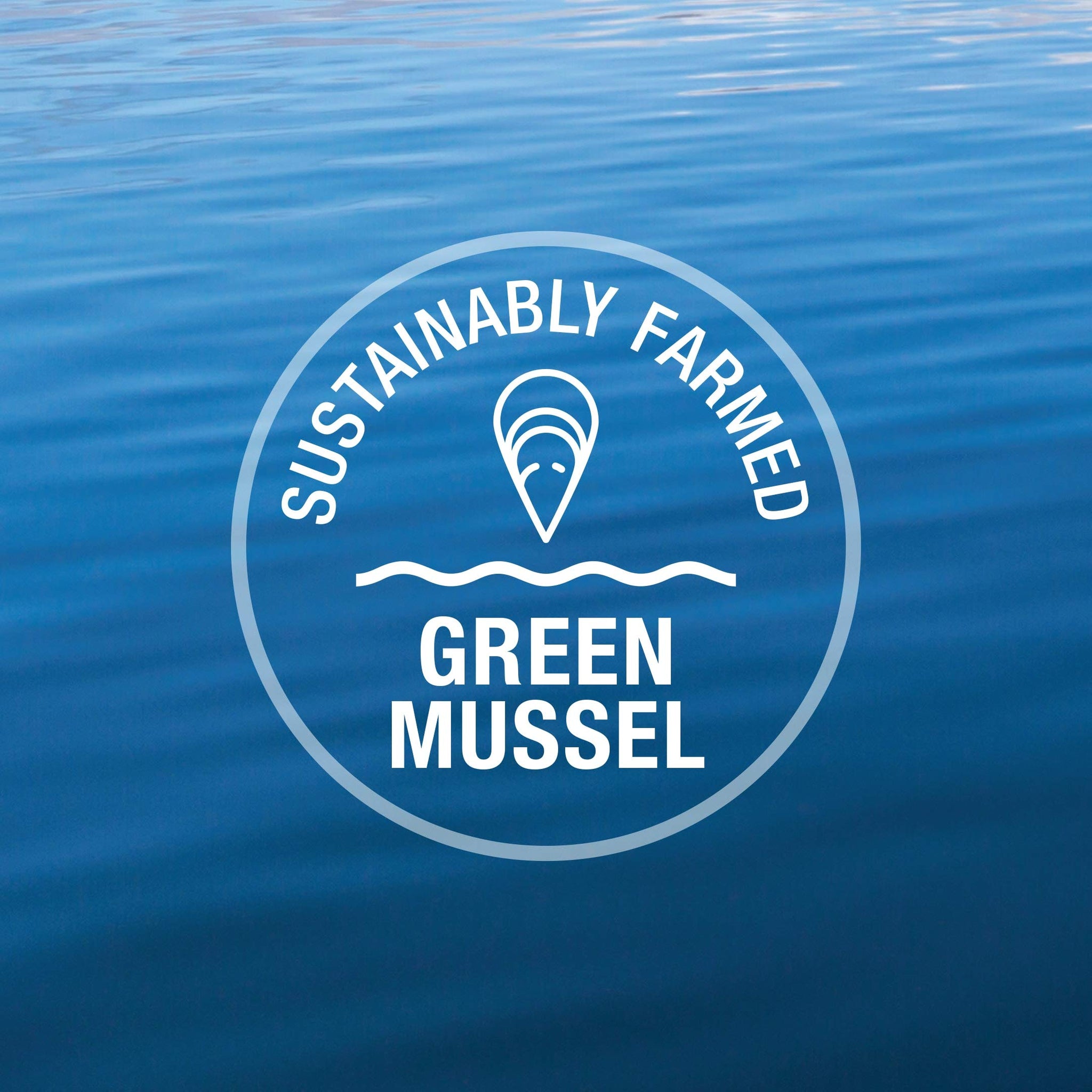 K9 Natural Freeze Dried Dog Food Or Topper Beef 17.6oz