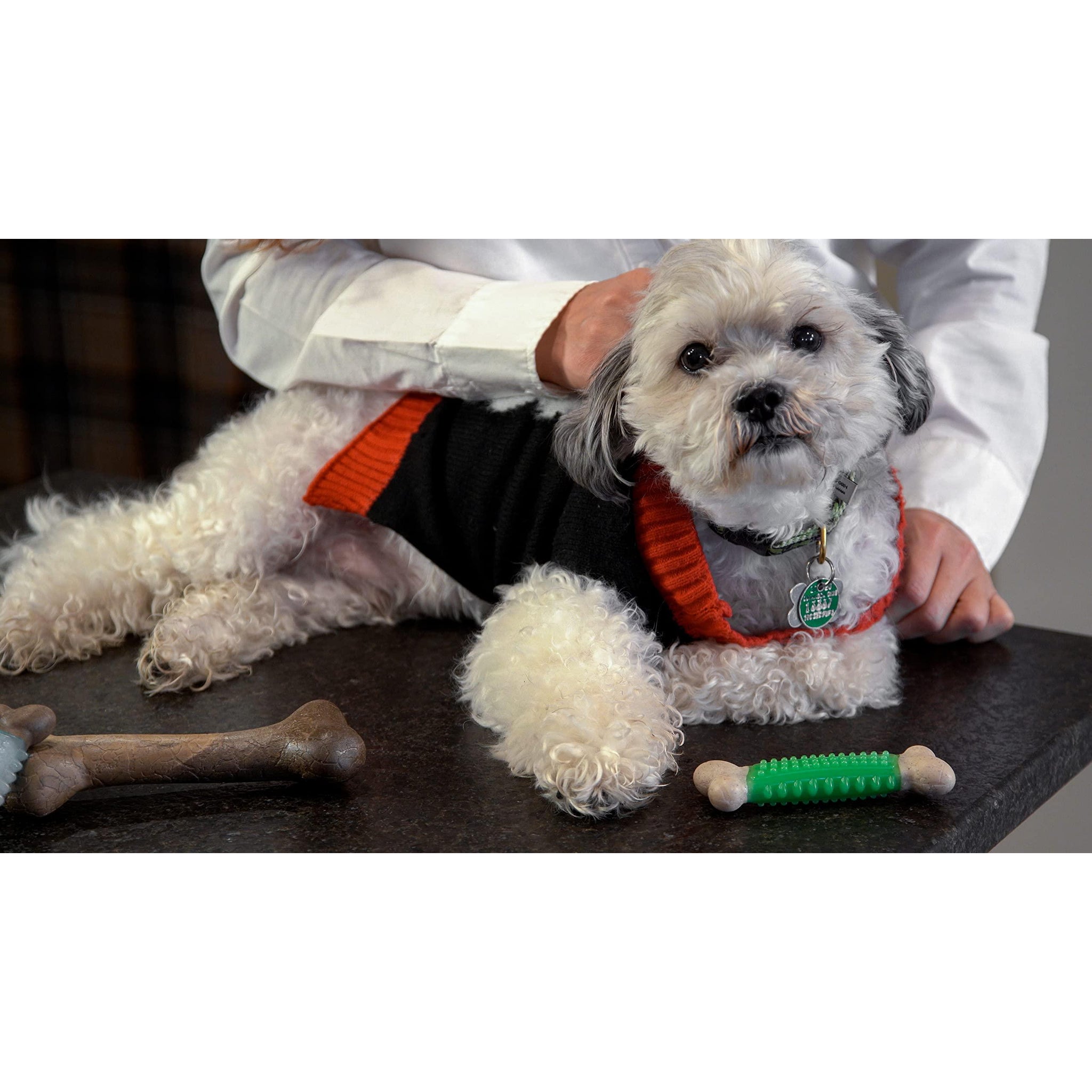 Hero Bonetics Femur & Dental Bones - Dog and Puppy Bones (Pack of 3)