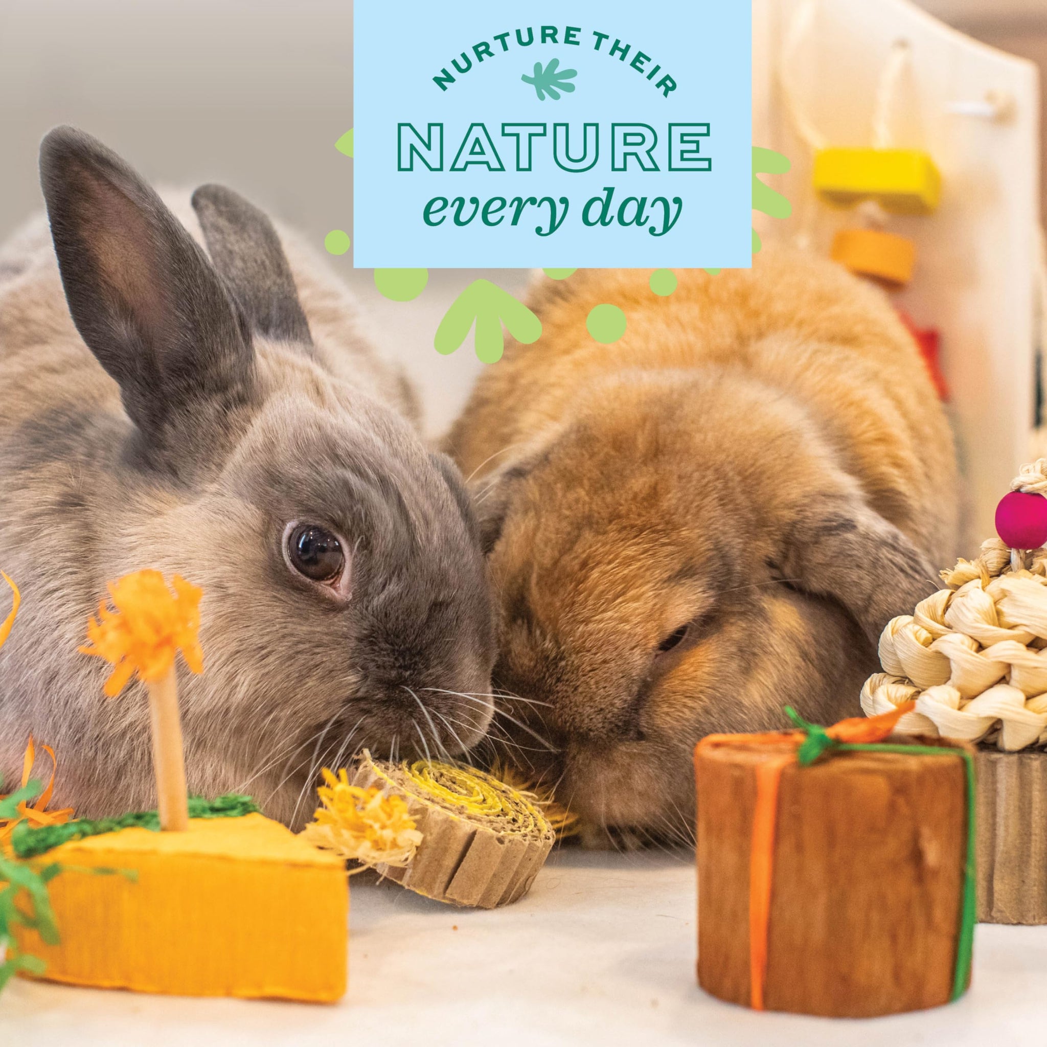 Oxbow Enriched Life Birthday Party Pack