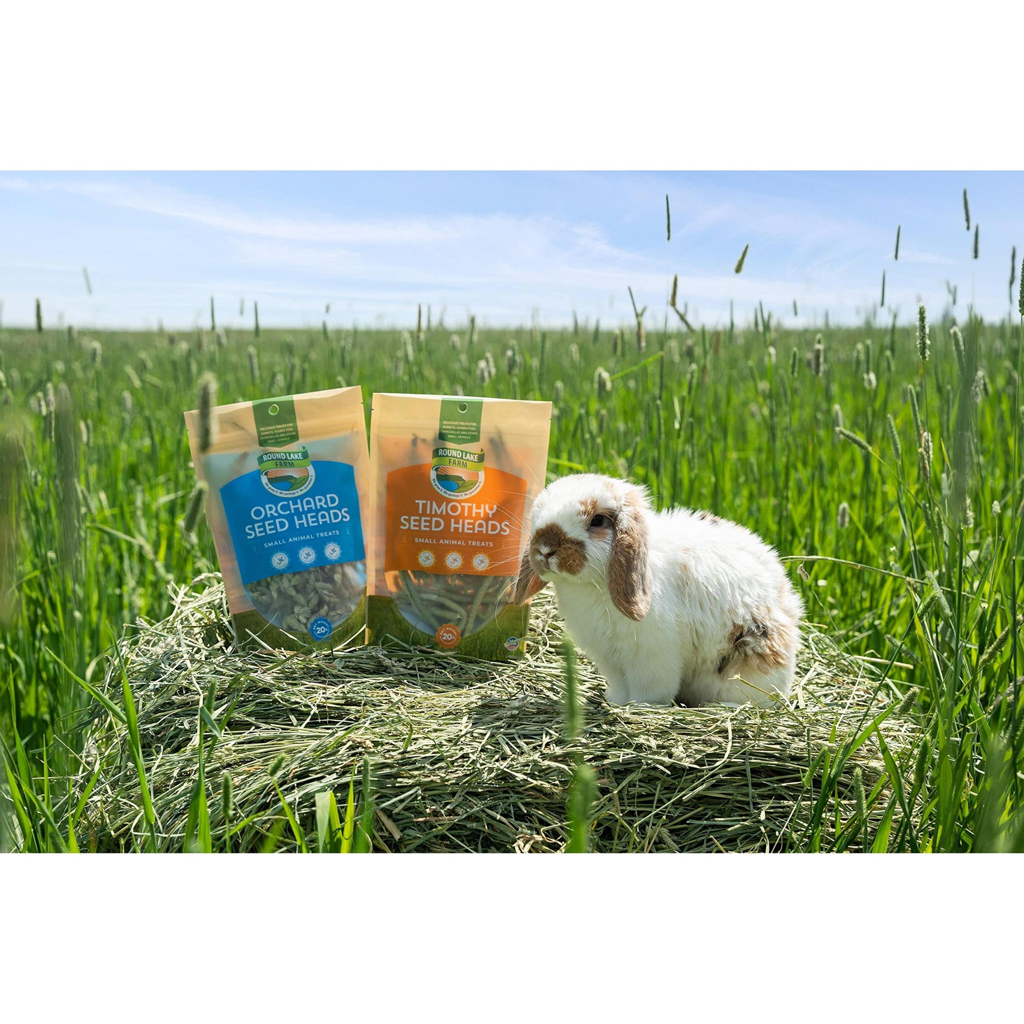 Round Lake Farm Timothy Seed Heads 10g