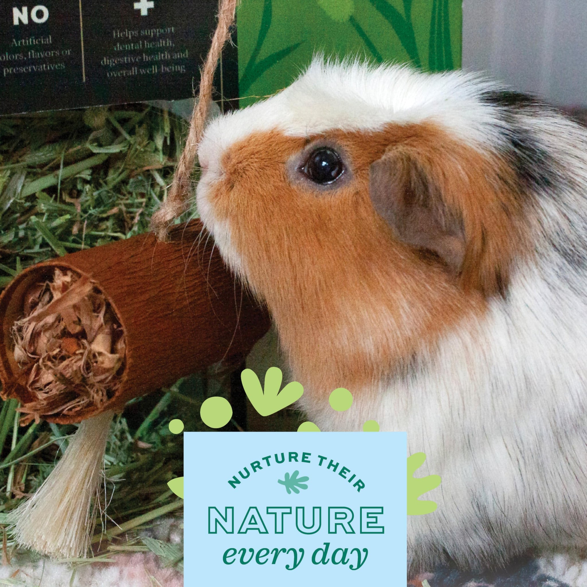 Oxbow Enriched Life Natural Dangly Party Pack