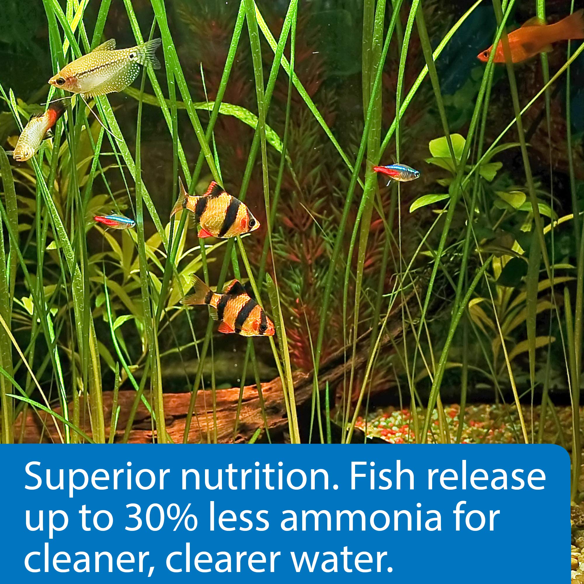 API Fishcare Tropical Pellet 1.6oz