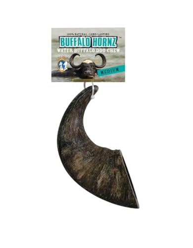 Qt Dog Water Buffalo Hornz Medium 1pc