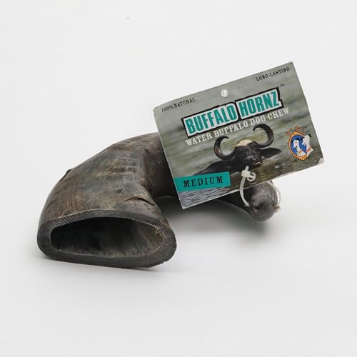 Qt Dog Water Buffalo Hornz Medium 1pc