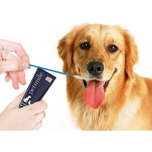 Petsmile Professional Toothpaste Applicator Swabs
