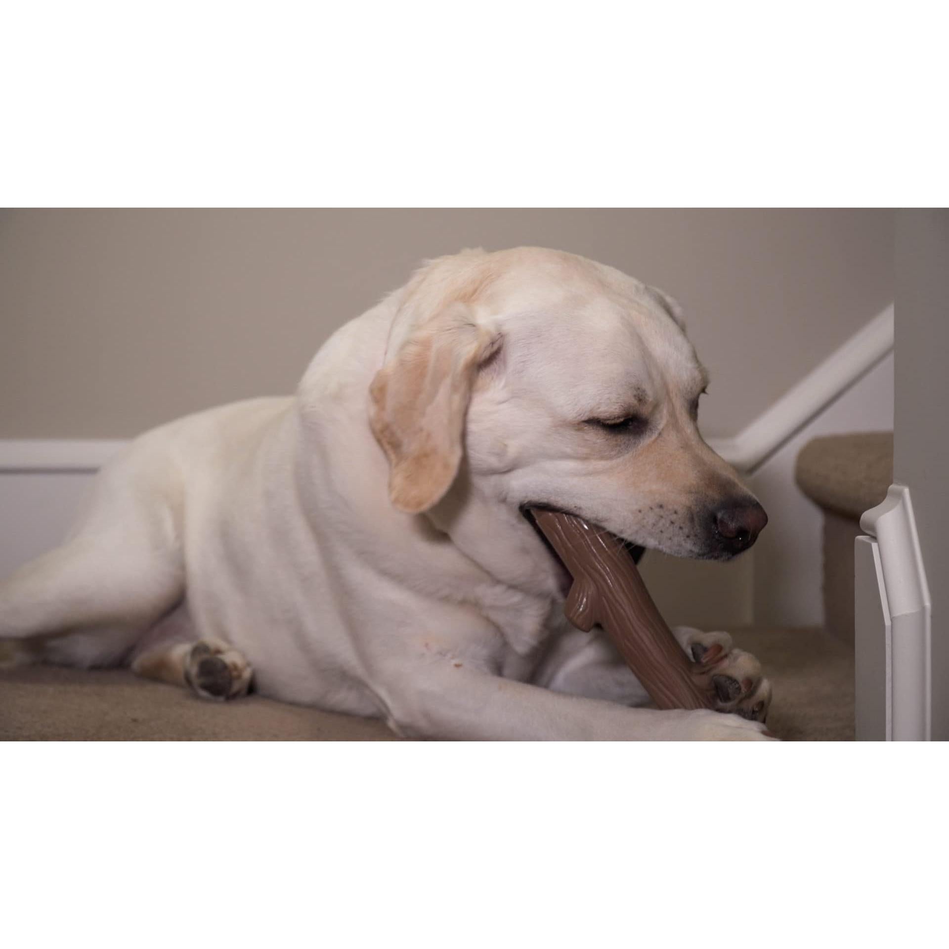 Hero Bonetics Wood Scent Stick XL
