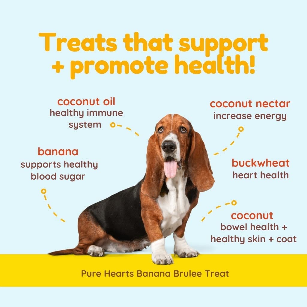 CocoTherapy Pure Hearts Coconut Cookies – Banana Brulee 5 oz.