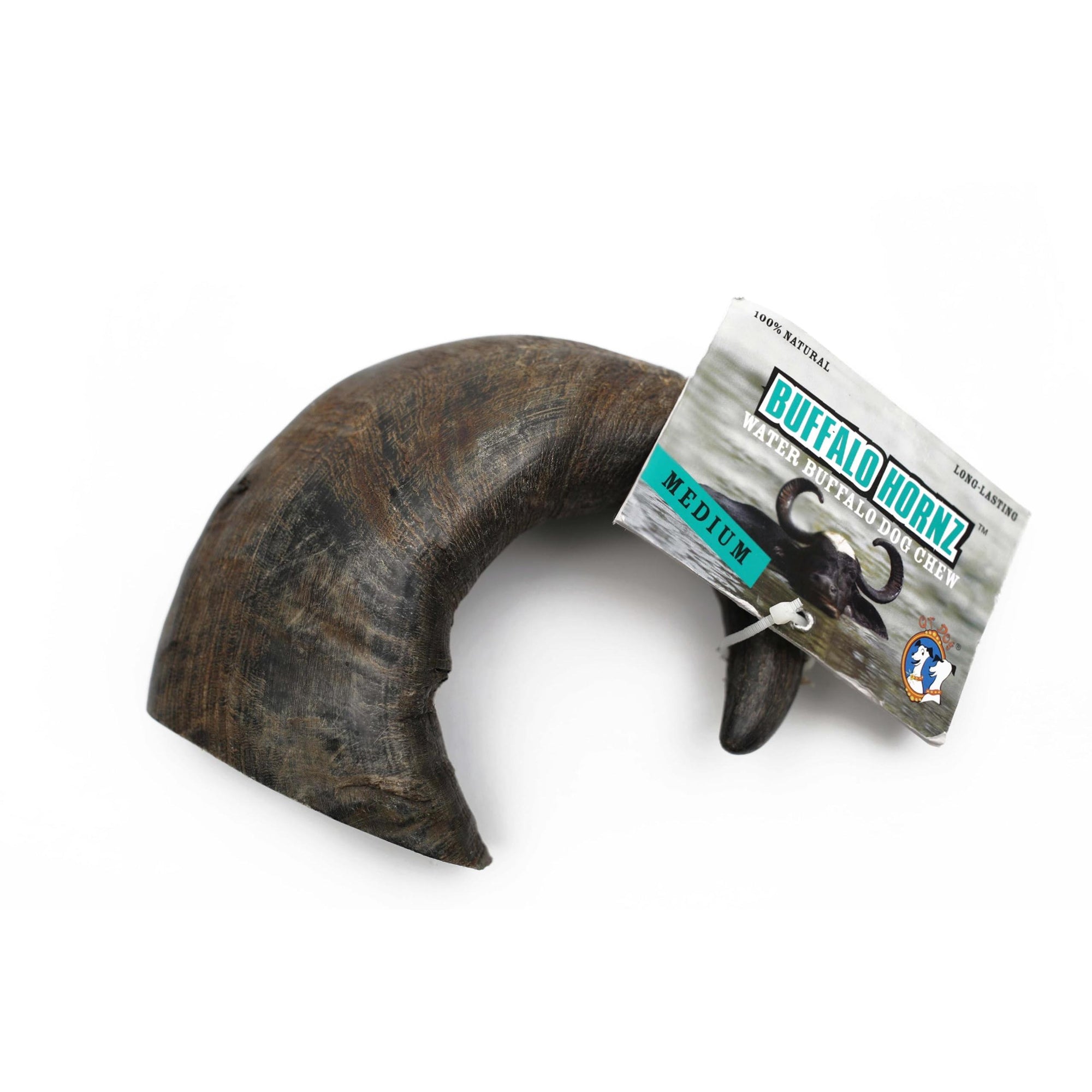 Qt Dog Water Buffalo Hornz Medium 1pc