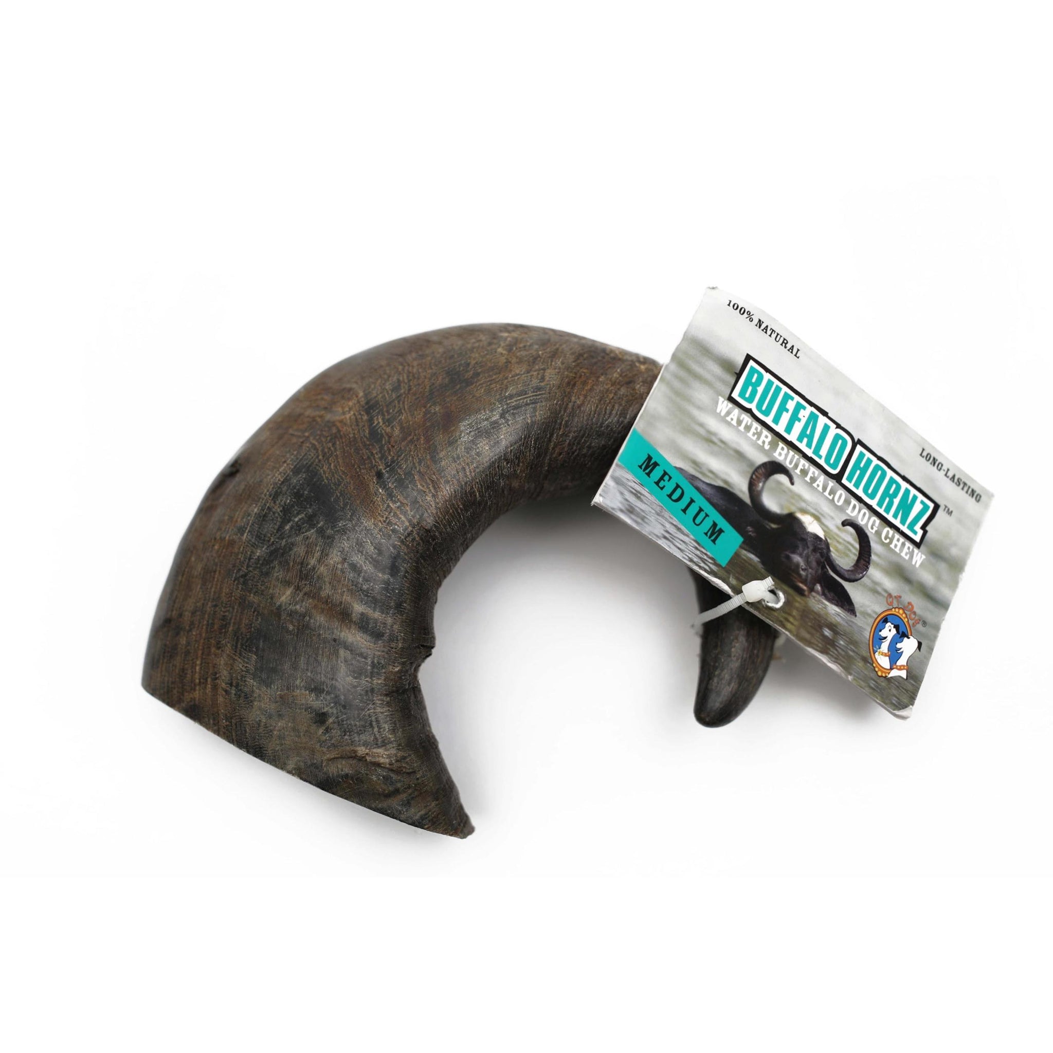 Qt Dog Water Buffalo Hornz Medium 1pc