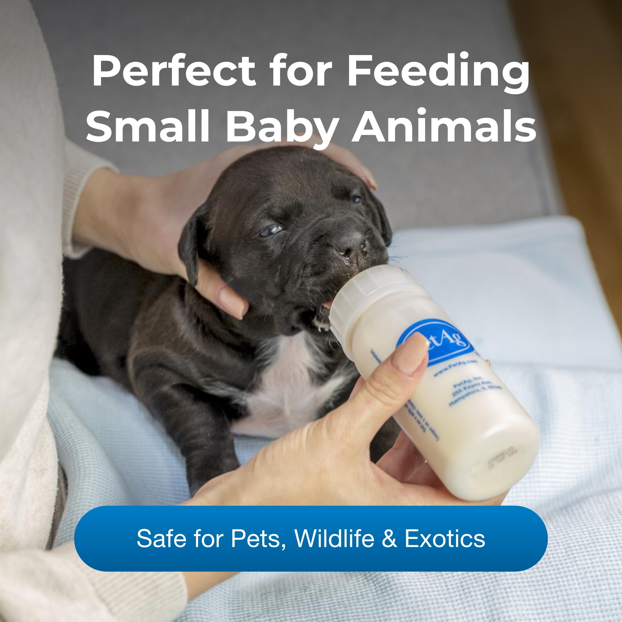 PetAg Nursing Kit 120 ml / 4oz