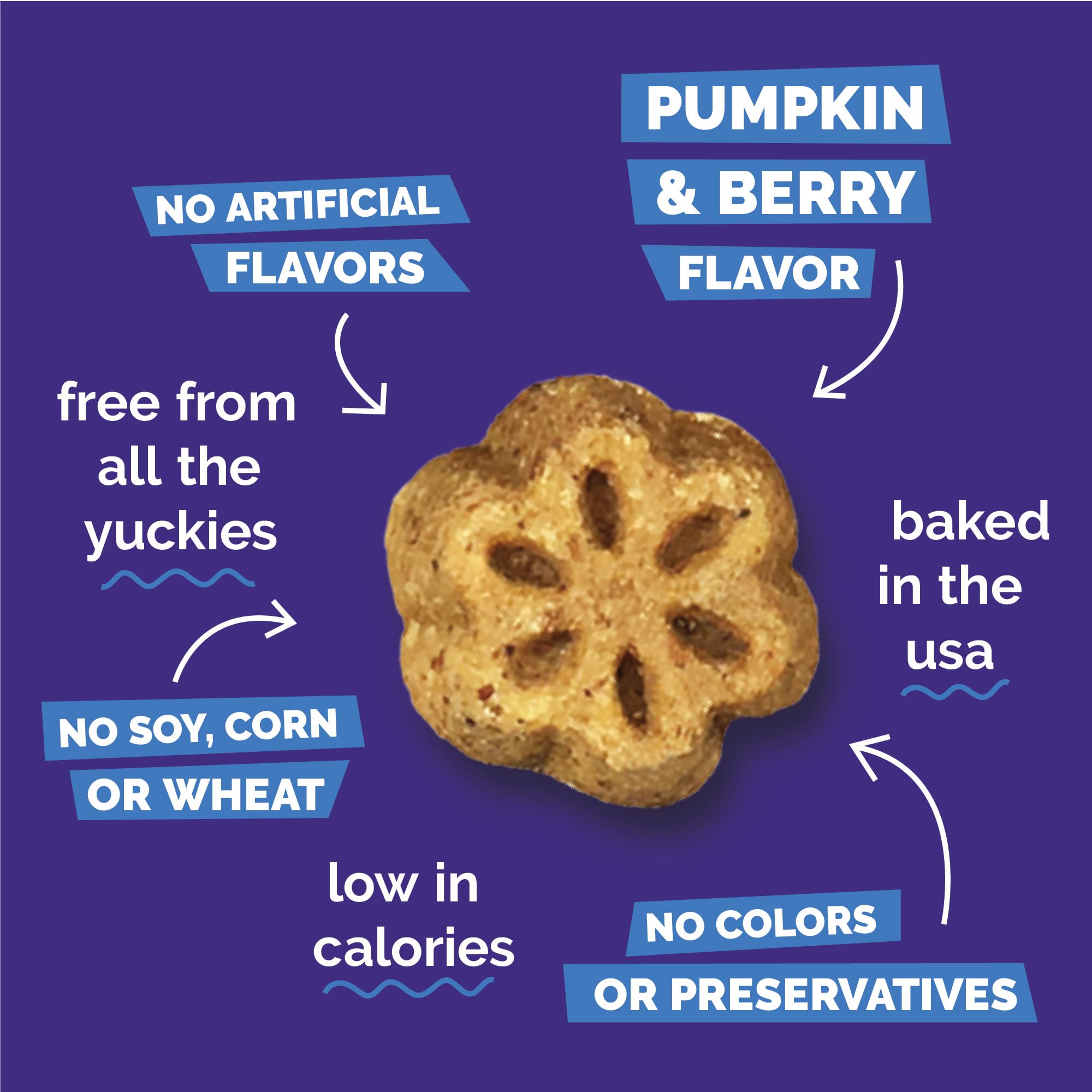 Fruitables Skinni Mini Pumpkin Berry Soft Treats 12oz