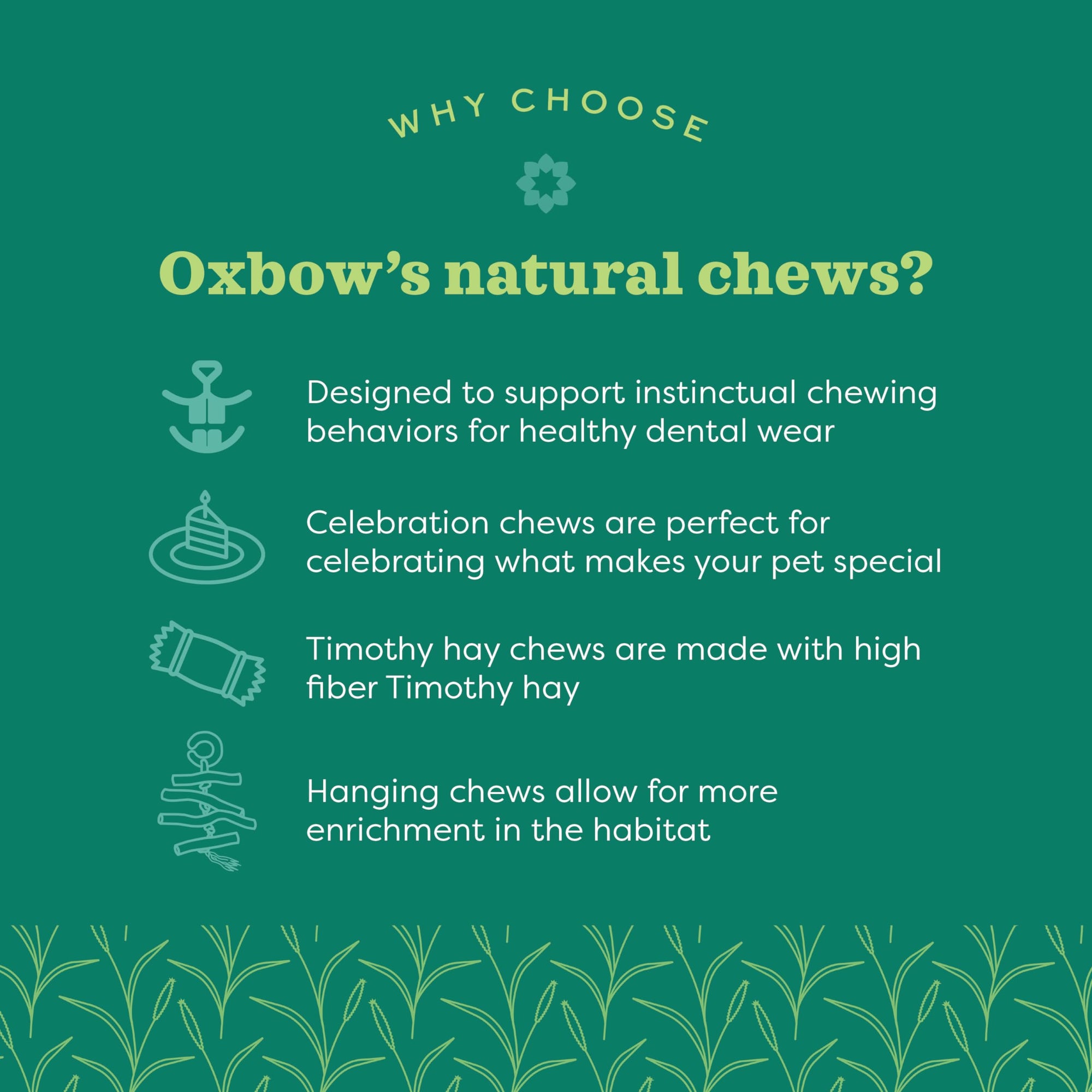 Oxbow Enriched Life Apple Stick Bundle