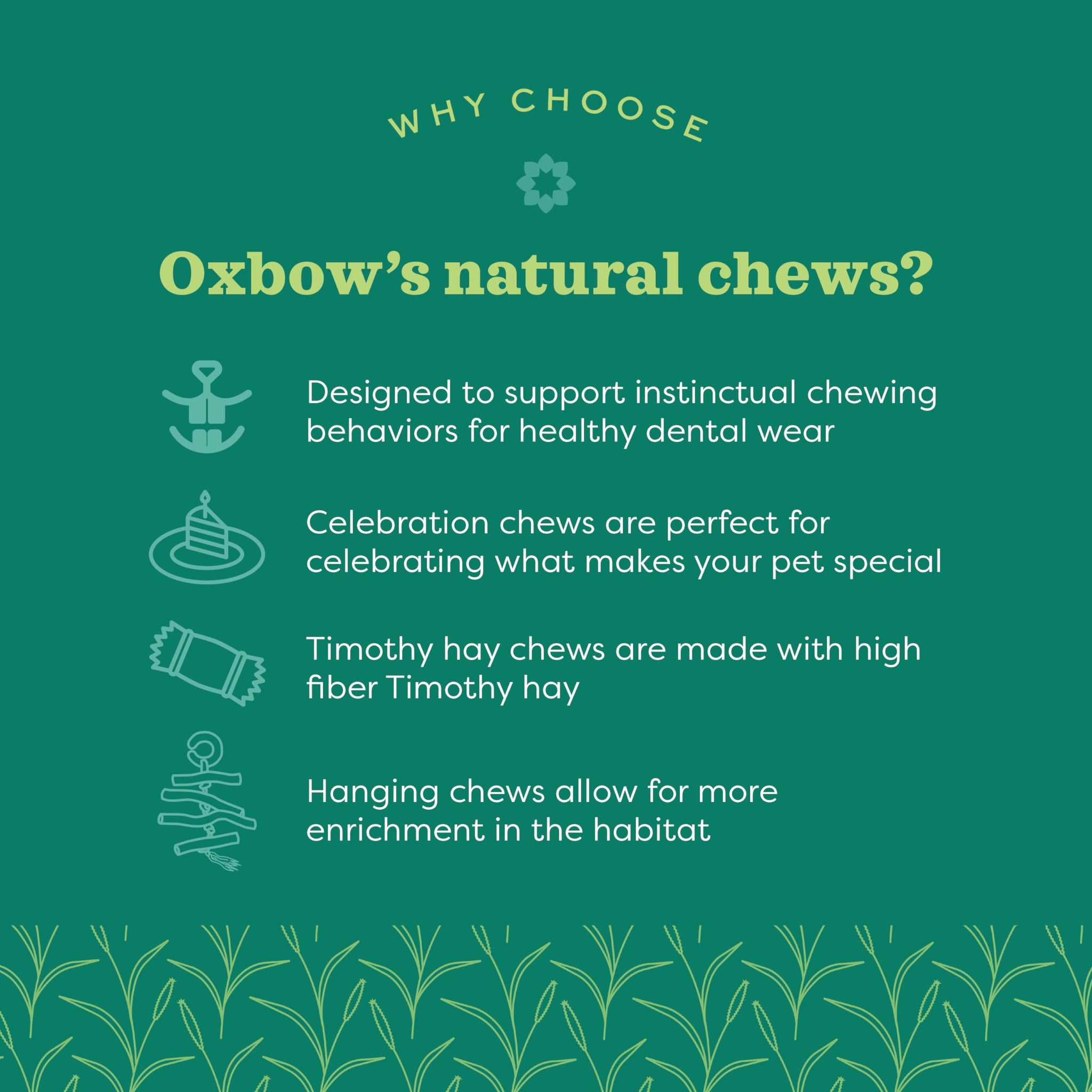 Oxbow Enriched Life Apple Stick Bundle