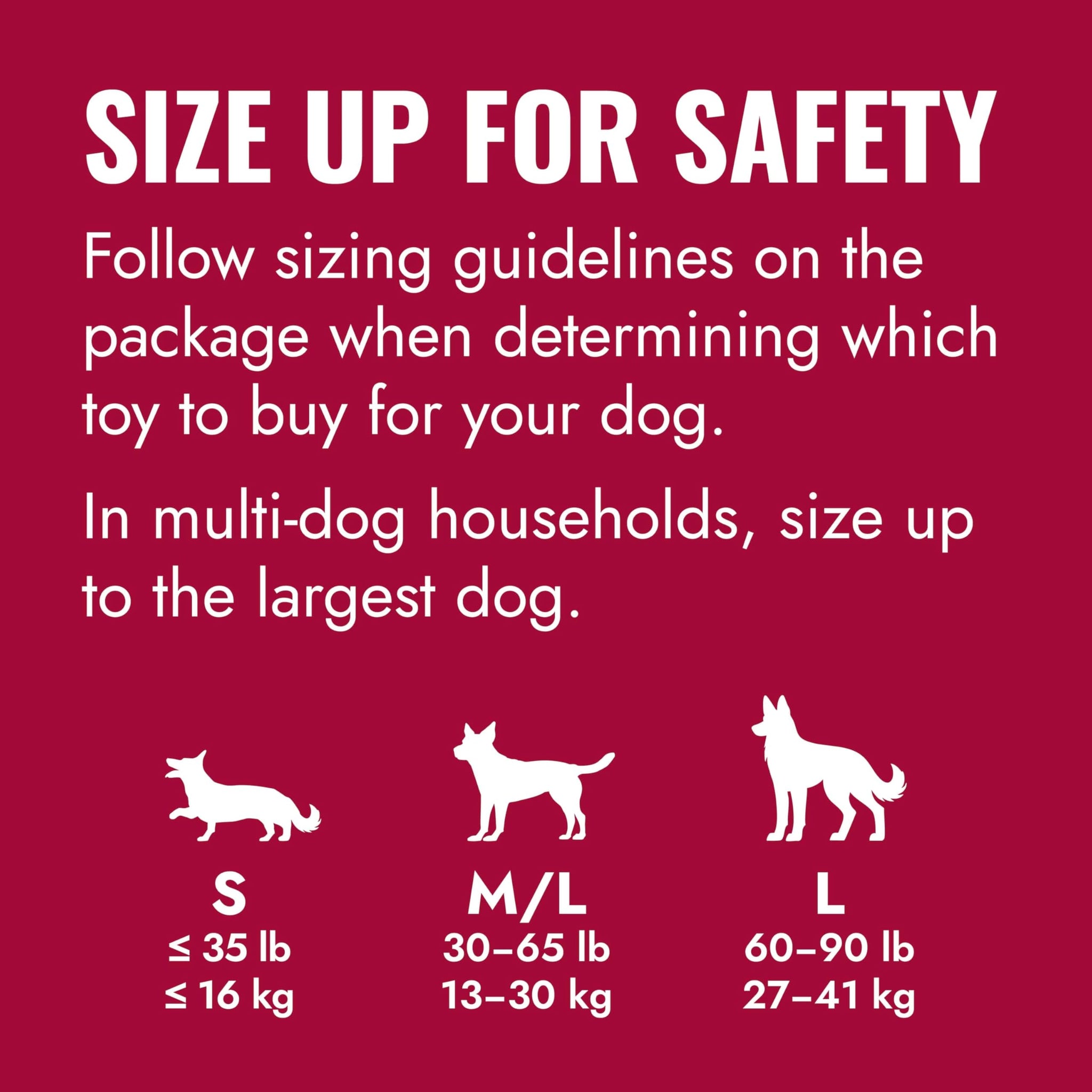 KONG Ball with Hole Large/X-Large Dogs