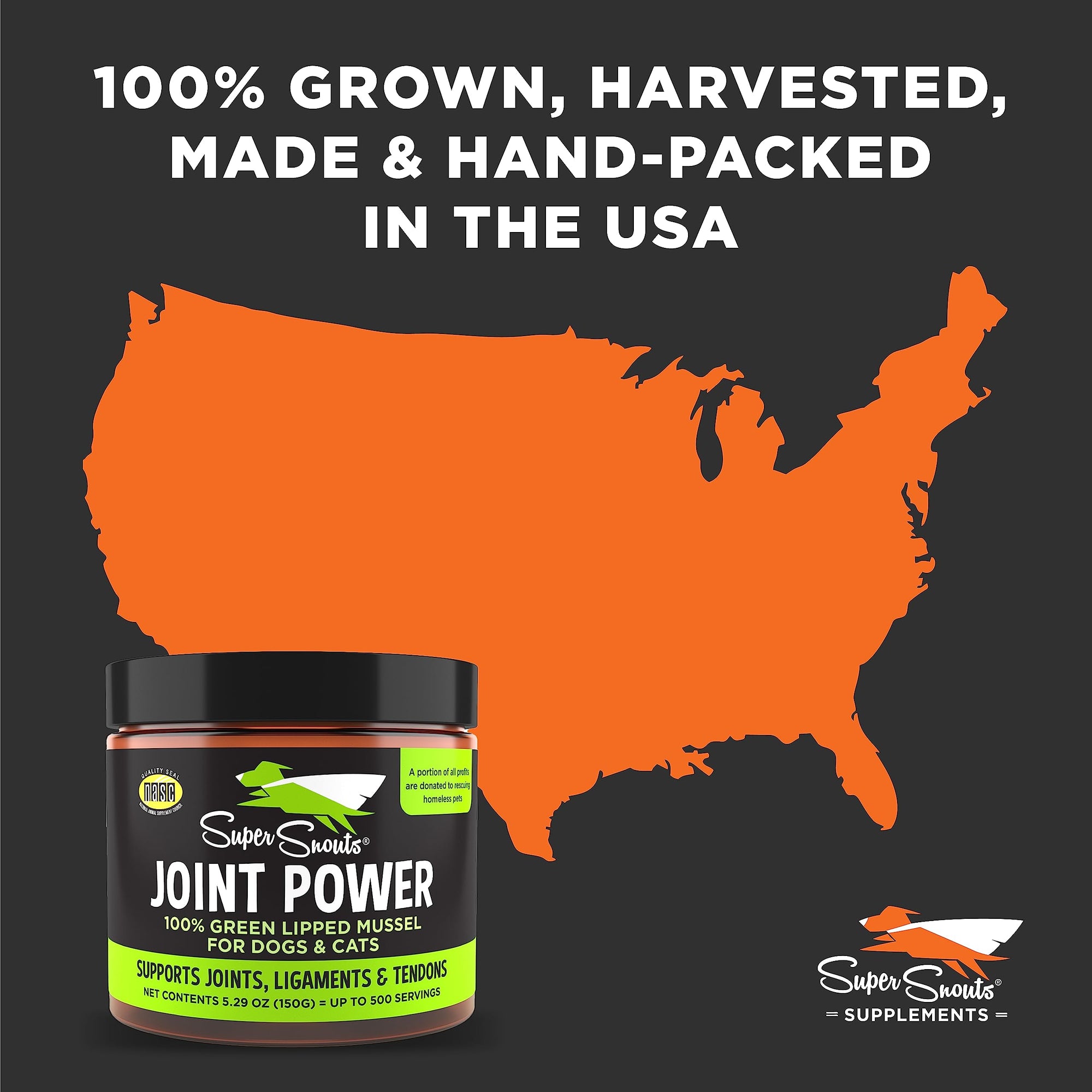 Super Snouts Joint Power – 5.29oz