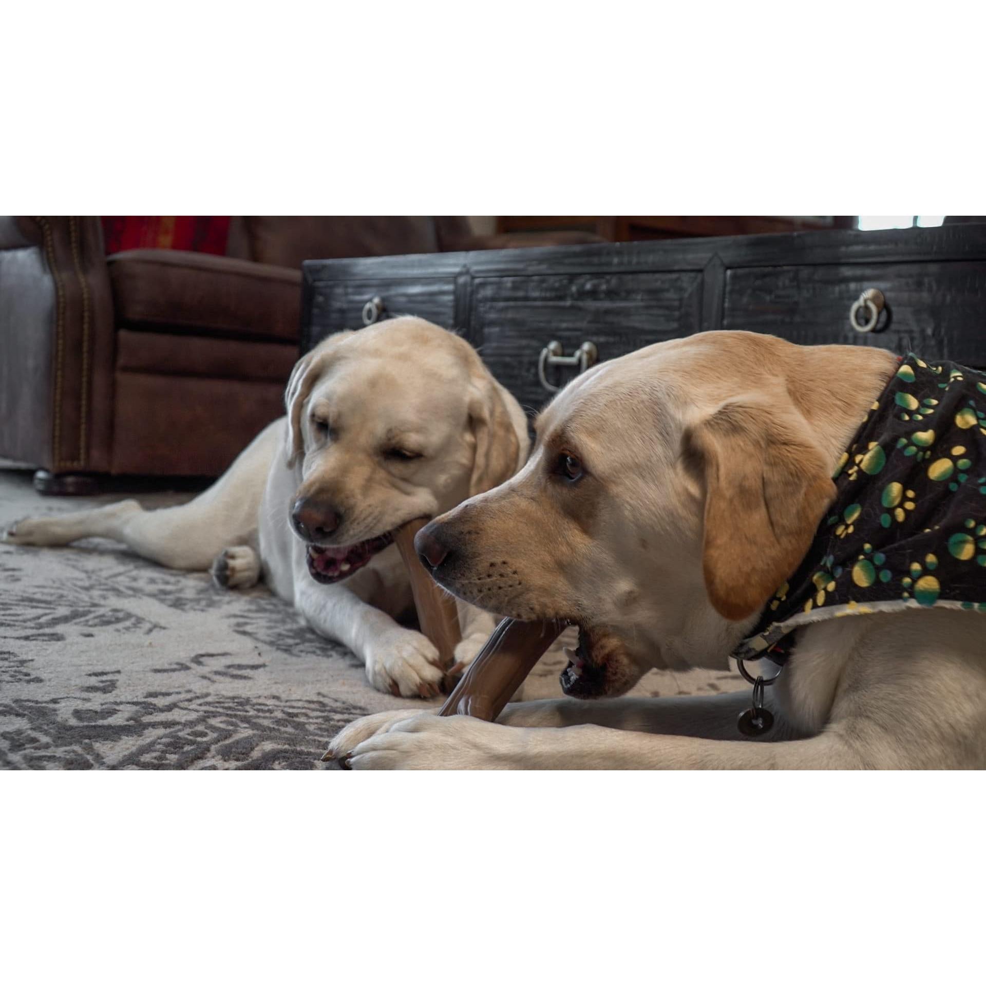 Hero Bonetics Wood Scent Stick XL