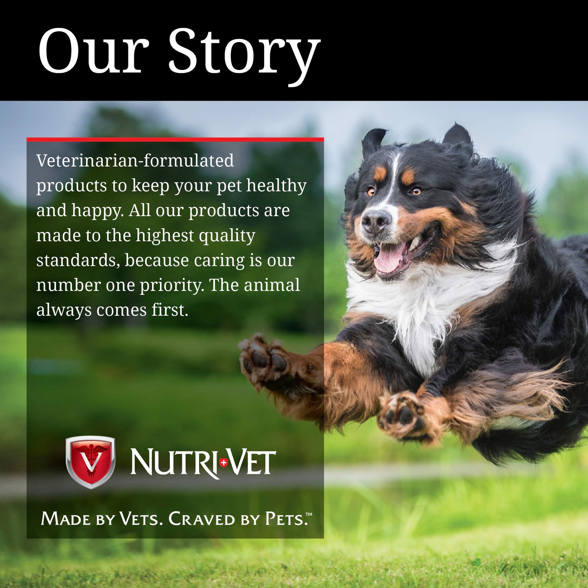 Nutri-Vet Bitter Bandage for Dogs & Cats 3 inches