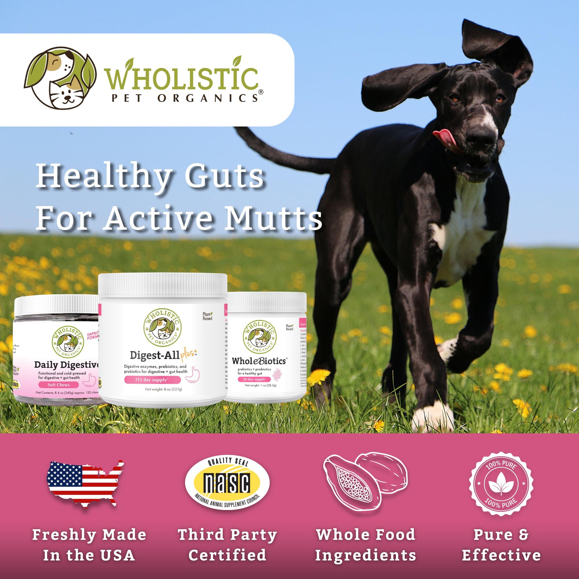 Wholistic Pet Organics Digest-All Plus: Dog Probiotic + Prebiotic, 4 oz