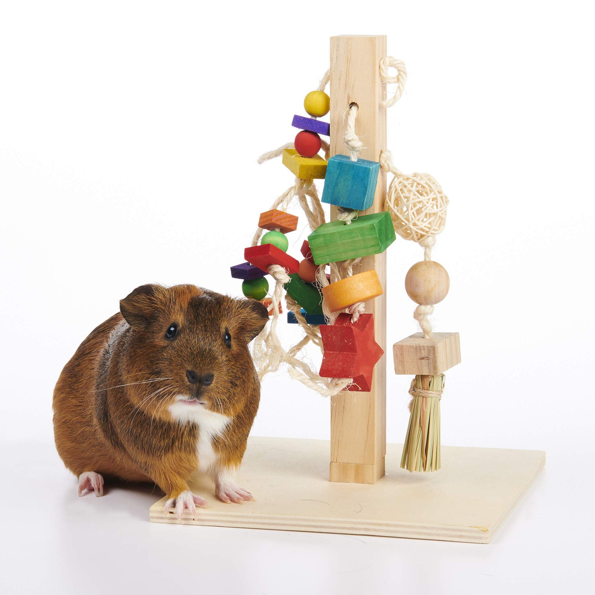 Oxbow Enriched Life Rabbit Play Post