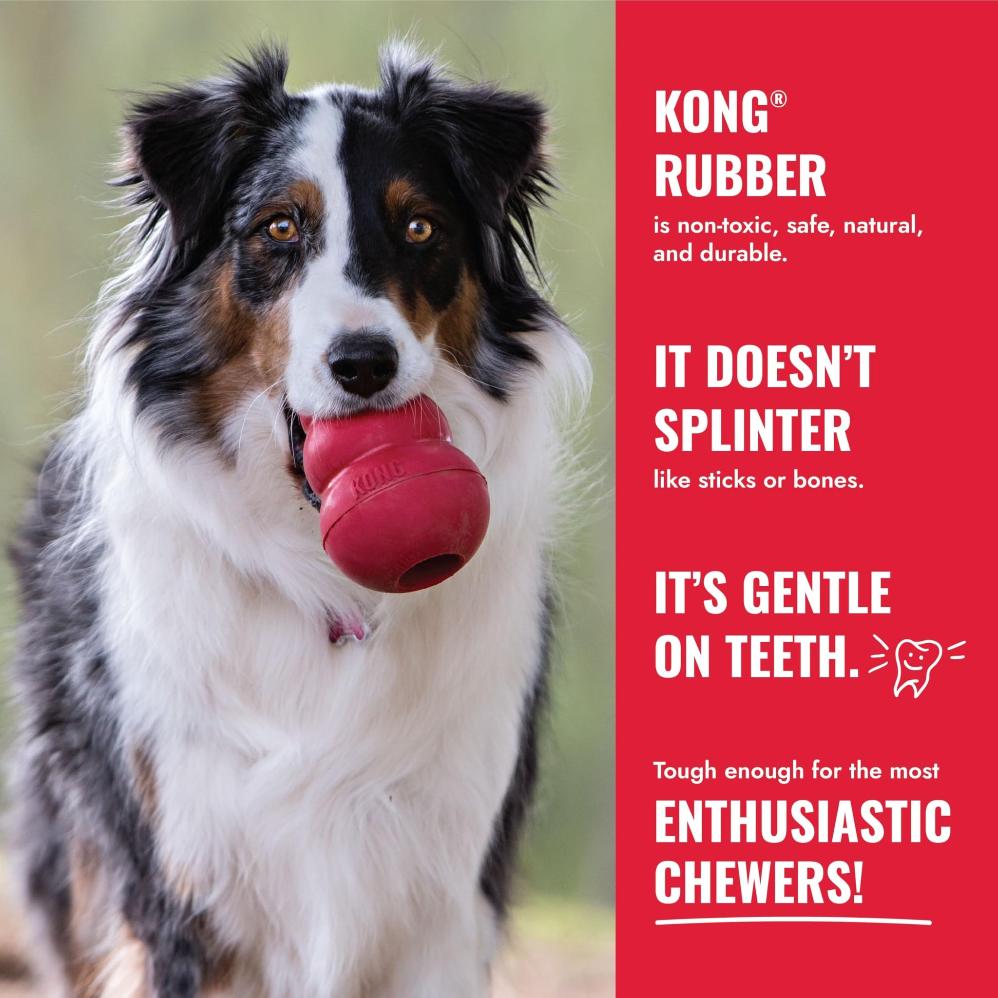 KONG Ball with Hole Large/X-Large Dogs