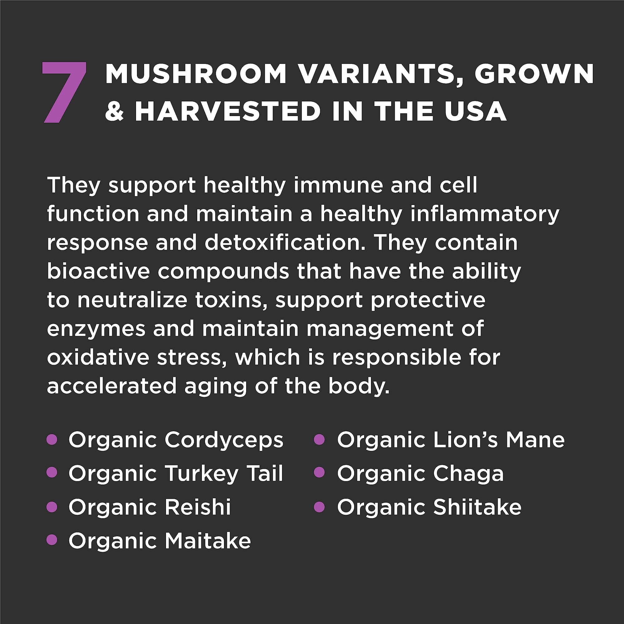 Super Snouts Super Shrooms 2.64oz