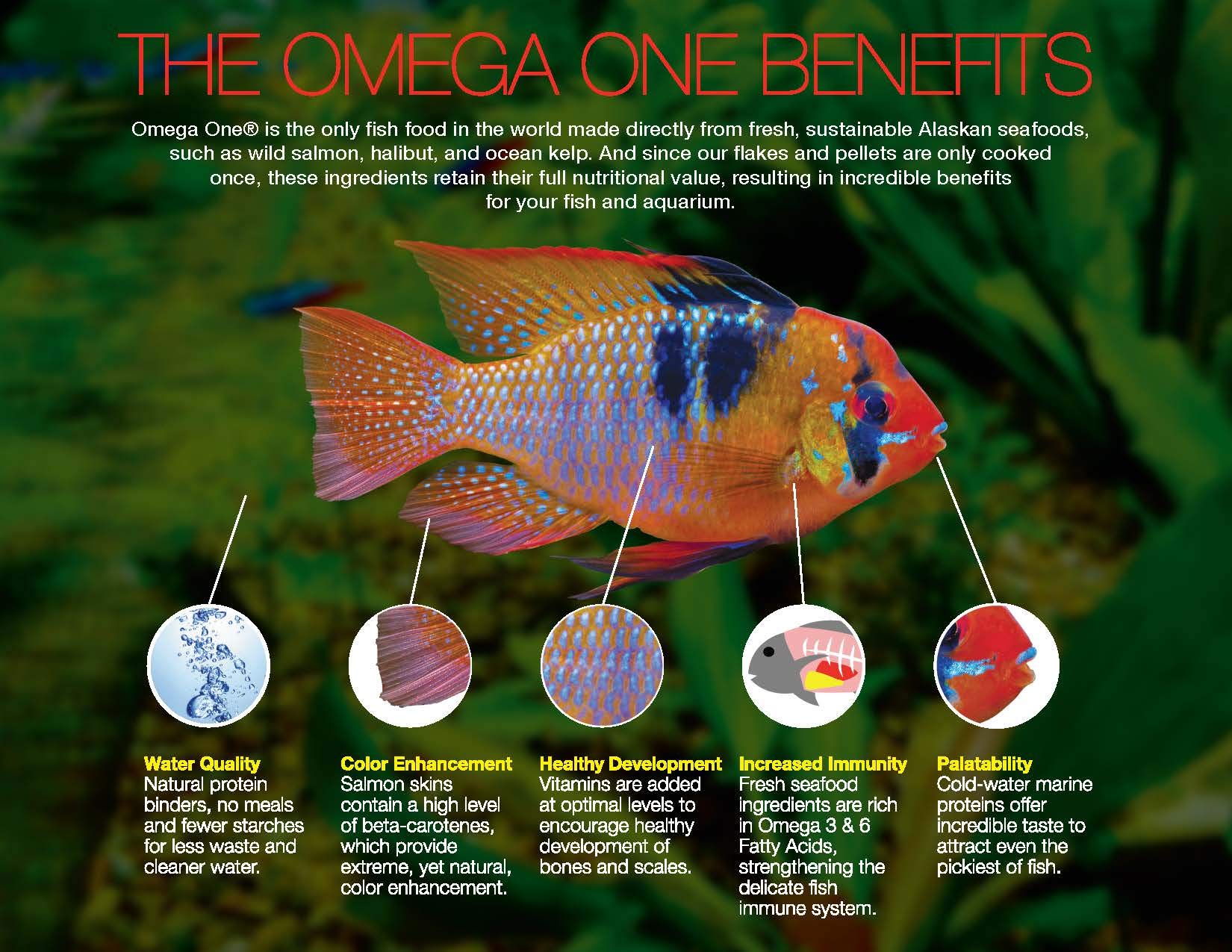 OmegaSea Food Large Cichlid Pellets 1.75 lb