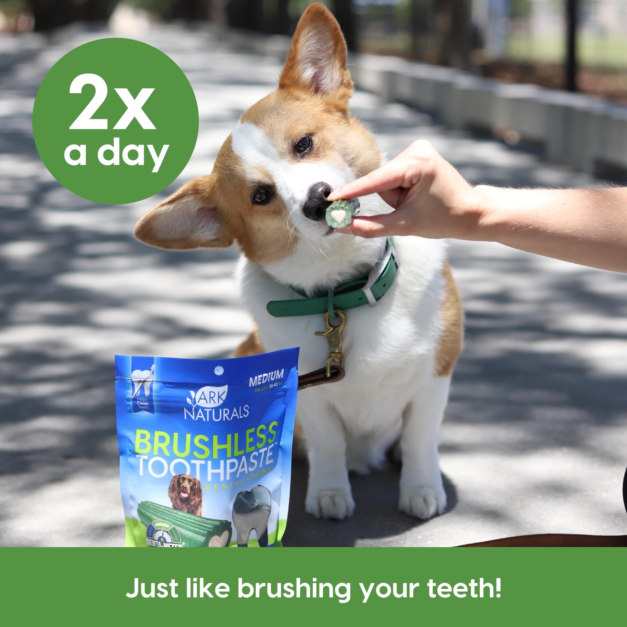 Ark Naturals Brushless Toothpaste Medium 18oz