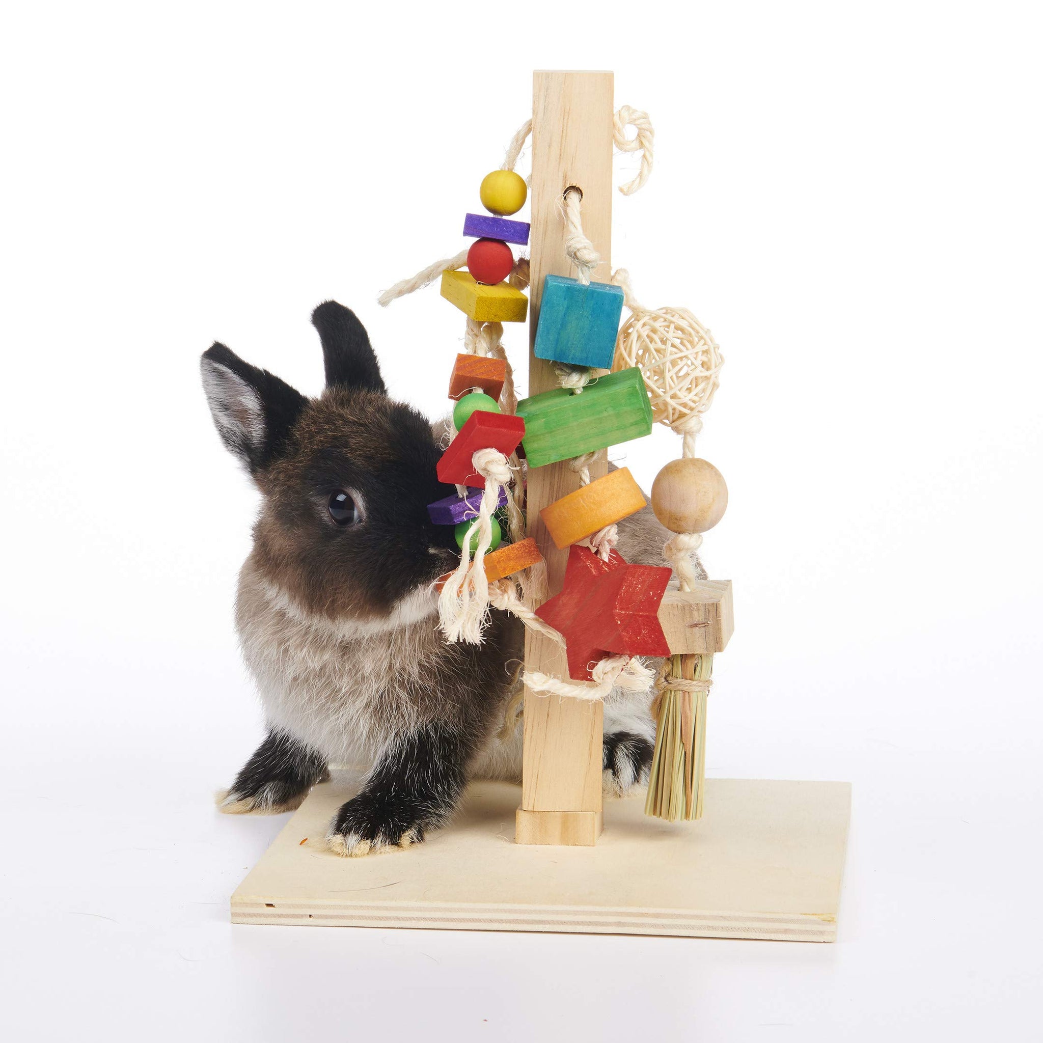 Oxbow Enriched Life Rabbit Play Post