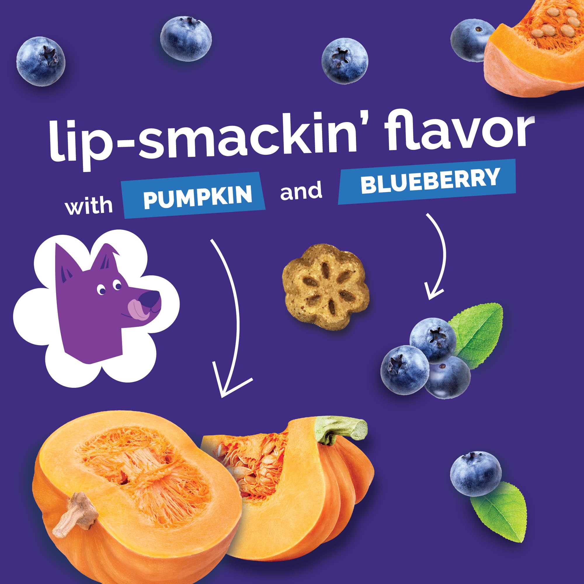 Fruitables Skinni Mini Pumpkin Berry Soft Treats 12oz