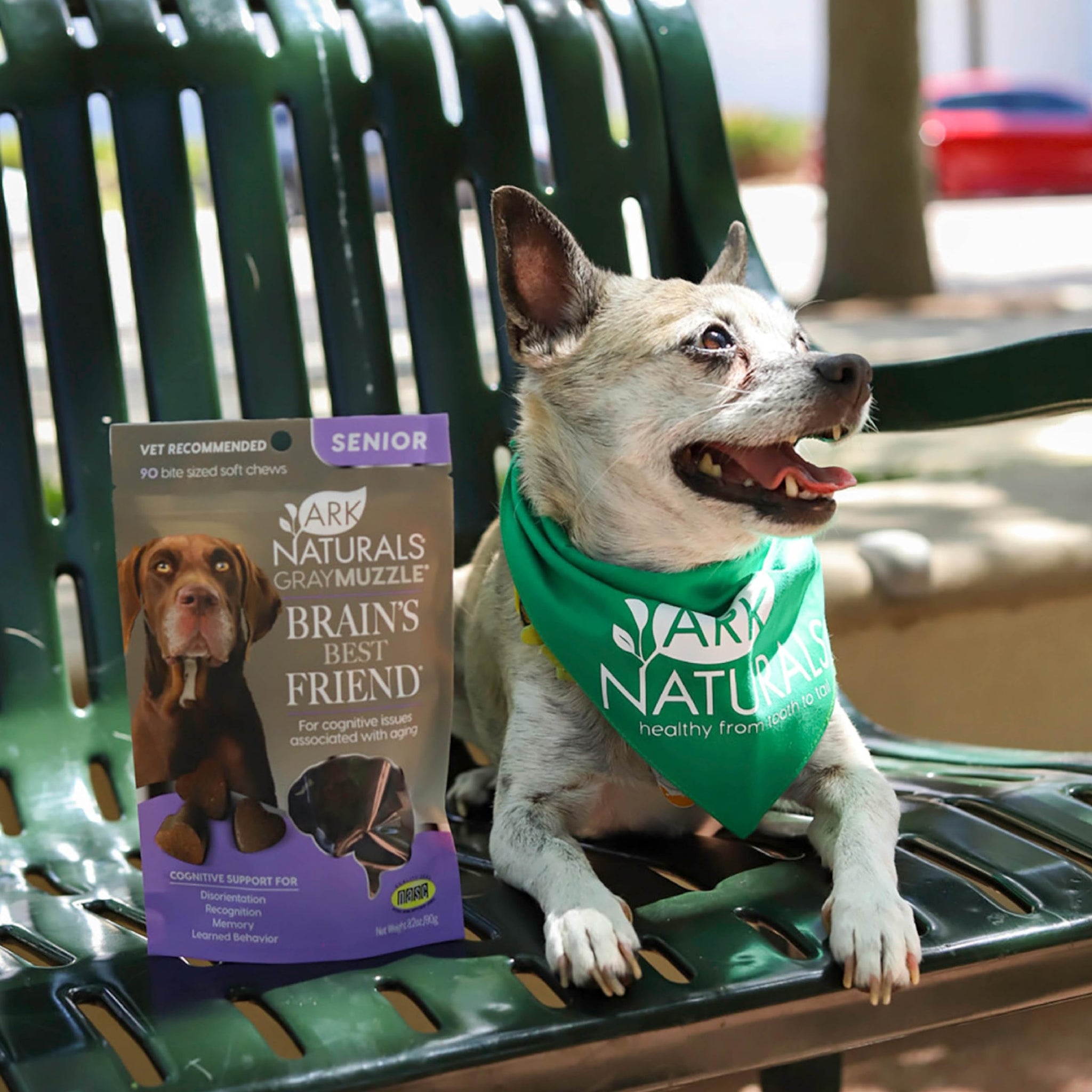 Ark Naturals Gray Muzzle Brain's Best Friend 90 Count