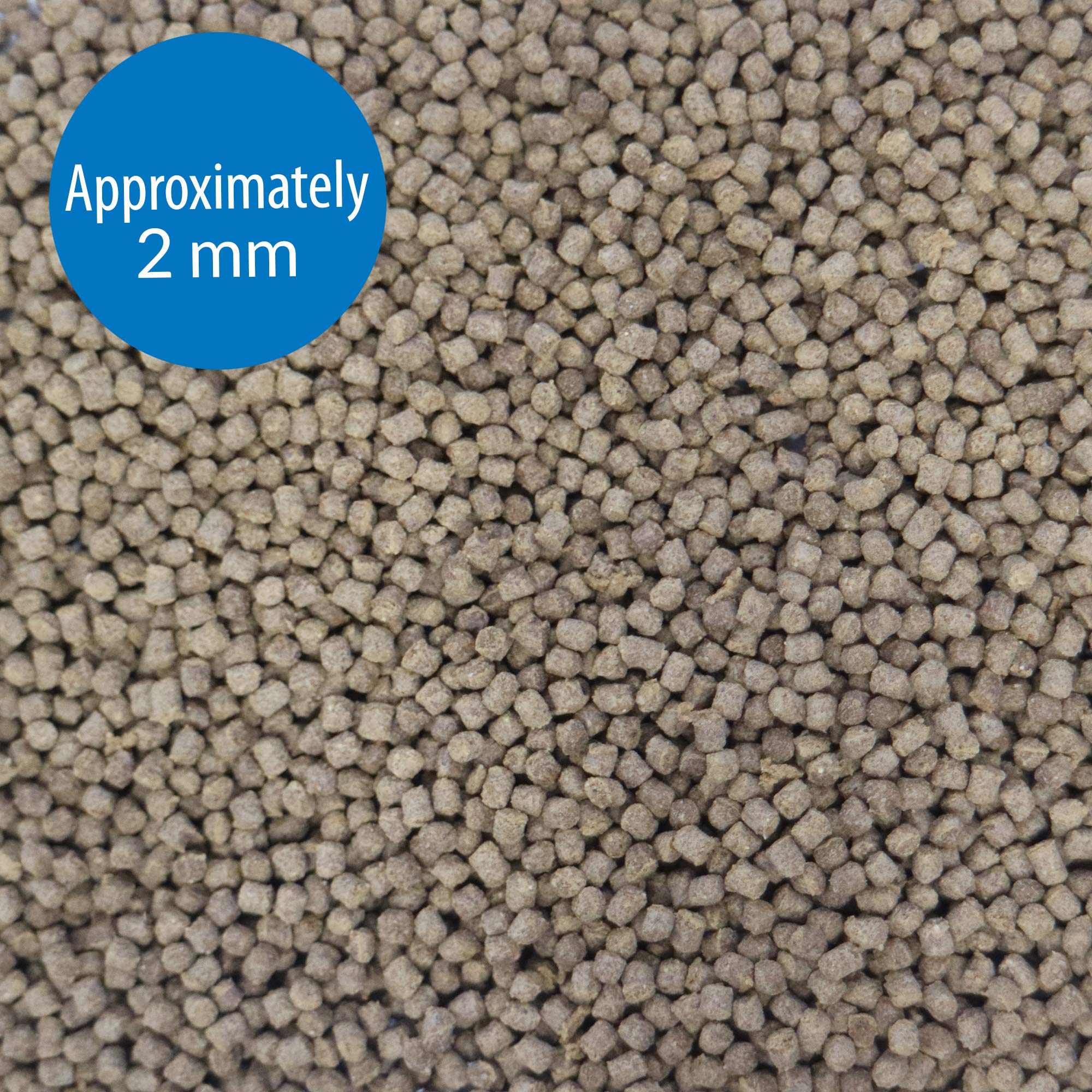 API Fishcare Tropical Pellet 1.6oz