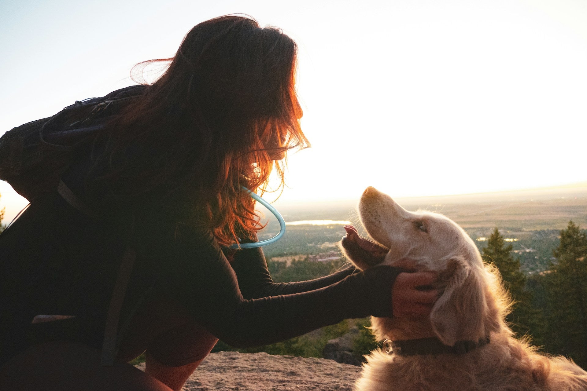adventure dog owner lady with her dog at sunset on mountain